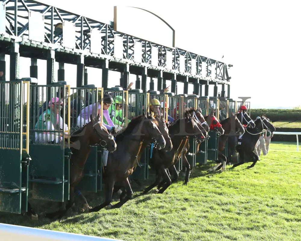RHETORICAL - 100425 - Race 10 - KEE - Start 02 Keeneland