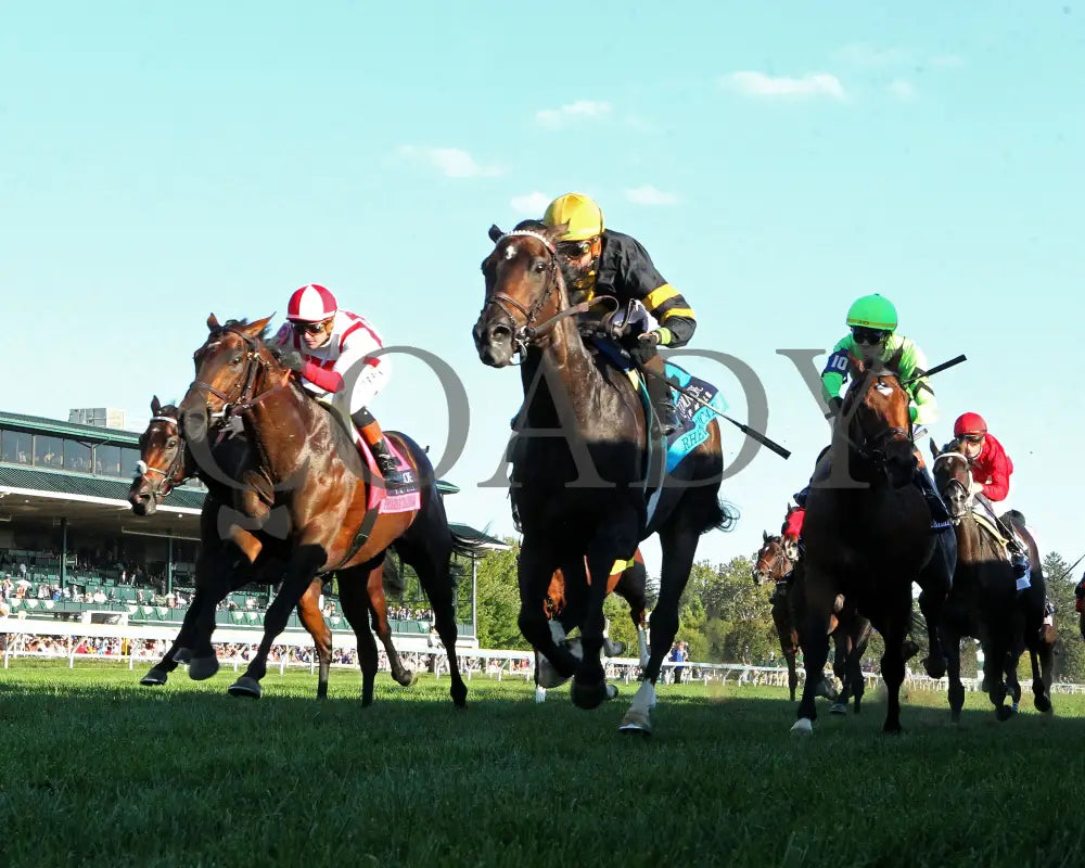 RHETORICAL - 100425 - Race 10 - KEE - Under Rail 01 Keeneland