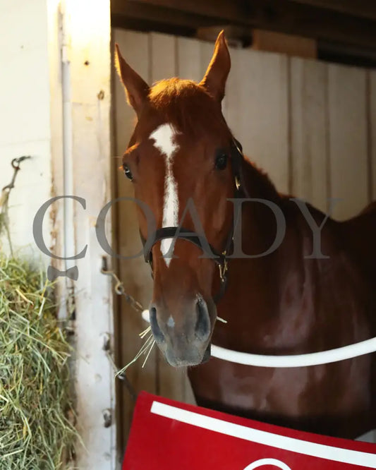 Rich Strike - The Kentucky Derby 148Th Running 05-07-22 R12 Cd Post Morning -004 Churchill Downs