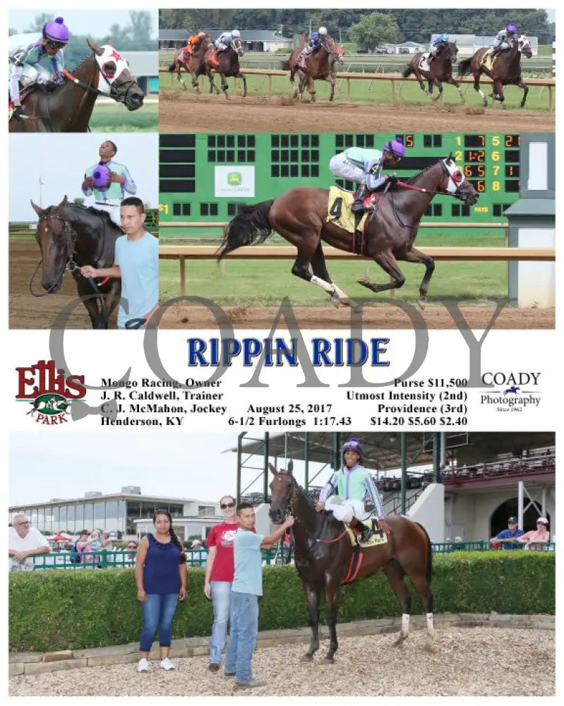 Rippin Ride - 082517 Race 05 Elp Ellis Park