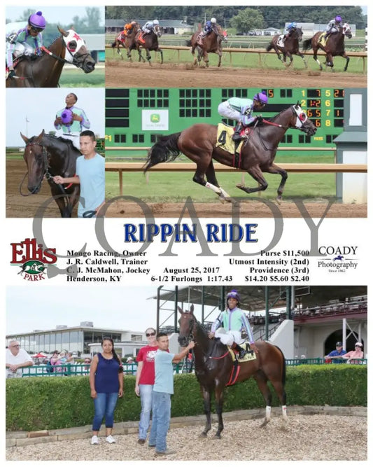 Rippin Ride - 082517 Race 05 Elp Ellis Park