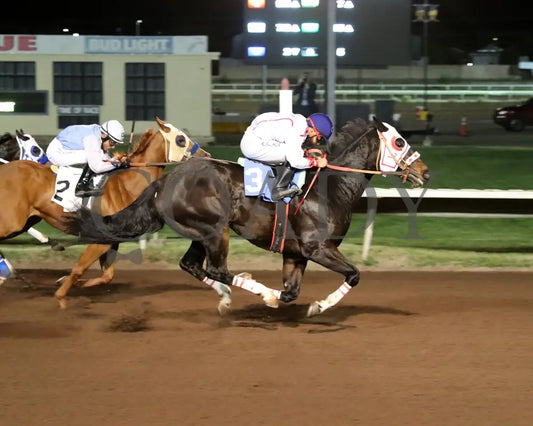 RLH FOURONTHEFLOOR - The Casino at the Downs Quarter Horse Stakes  - 10-18-25 - R05 - The Downs at Albuquerque - Aerial Finish 01 - Coady Media - Kurtis Coady Photography
