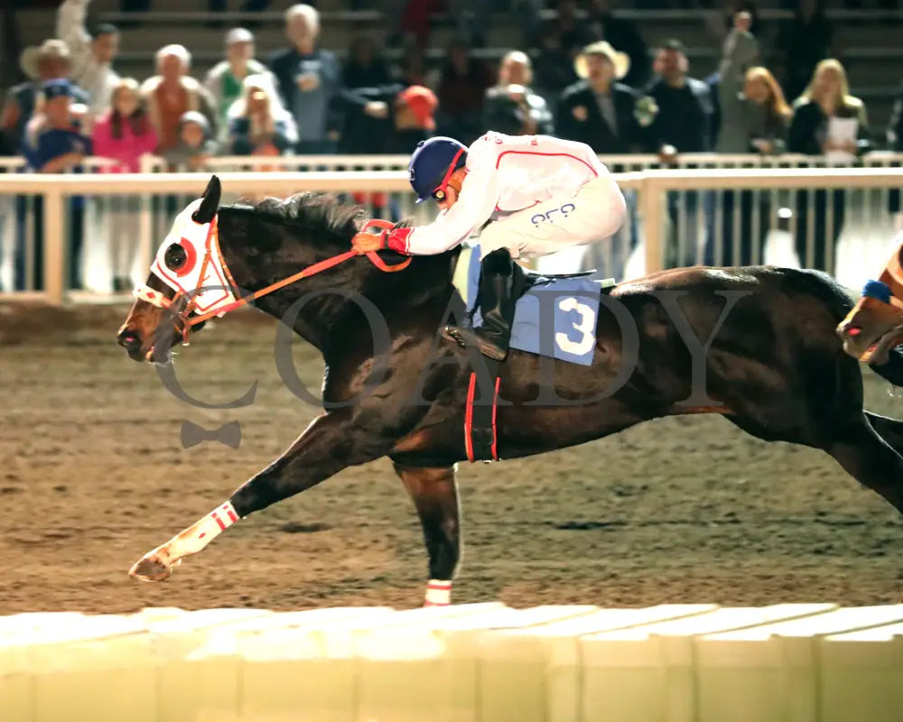 RLH FOURONTHEFLOOR - The Casino at the Downs Quarter Horse Stakes - 10-18-25 - R05 - The Downs at Albuquerque - Finish