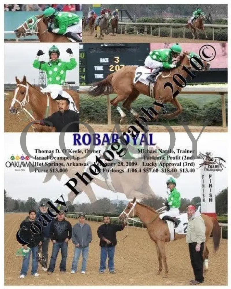 Robaroyal - 2 28 2009 Oaklawn Park