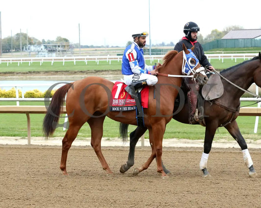 ROCK N THE BEACH - Miss Roxie Little Futurity Final - RG3 - 10-25-25 - R13 - Horseshoe Indiana - Post Parade 02 - Eli