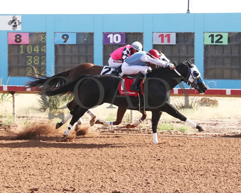 Rock Ya Later - King Rick Rack Stakes 12-15-24 R04 Zia Park Finish