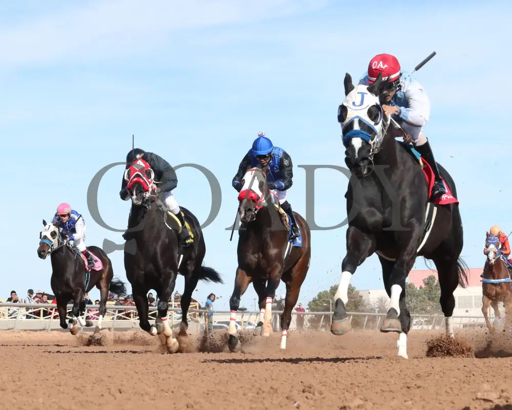 ROCK YA LATER - King Rick Rack Stakes - 12-15-24 - R04 - Zia Park - Under Rail - Coady Media - Kurtis Coady Photography