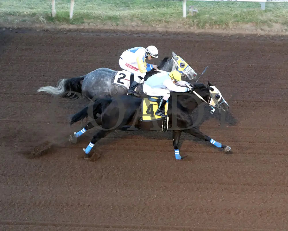 ROCK YA LATER - The Sandia Stakes - 10-18-25 - R01 - The Downs at Albuquerque - Aerial Finish 01 Downs at Albuquerque