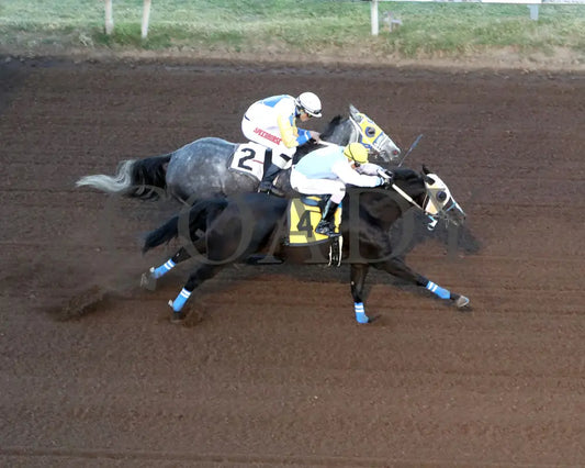 ROCK YA LATER - The Sandia Stakes - 10-18-25 - R01 - The Downs at Albuquerque - Aerial Finish 01 Downs at Albuquerque