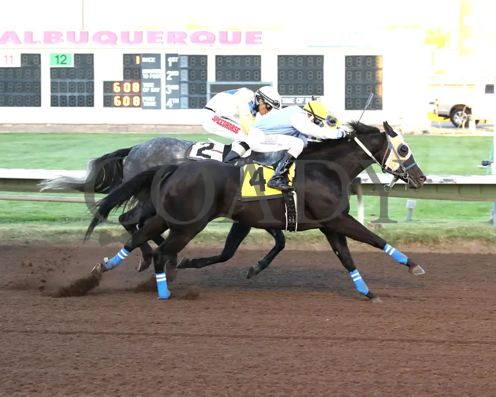 ROCK YA LATER - The Sandia Stakes - 10-18-25 - R01 - The Downs at Albuquerque - Finish 01 Downs at Albuquerque
