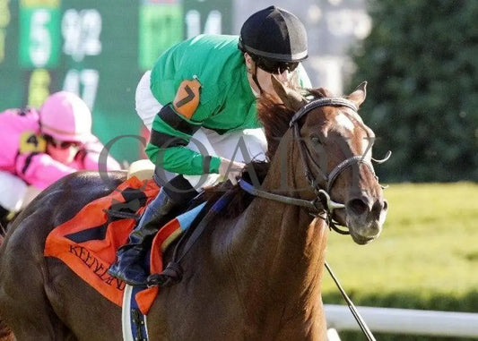 Rogue Romance - The Bourbon Keeneland