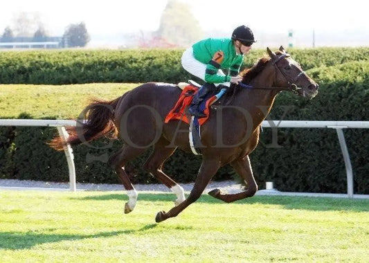 Rogue Romance - The Bourbon Keeneland