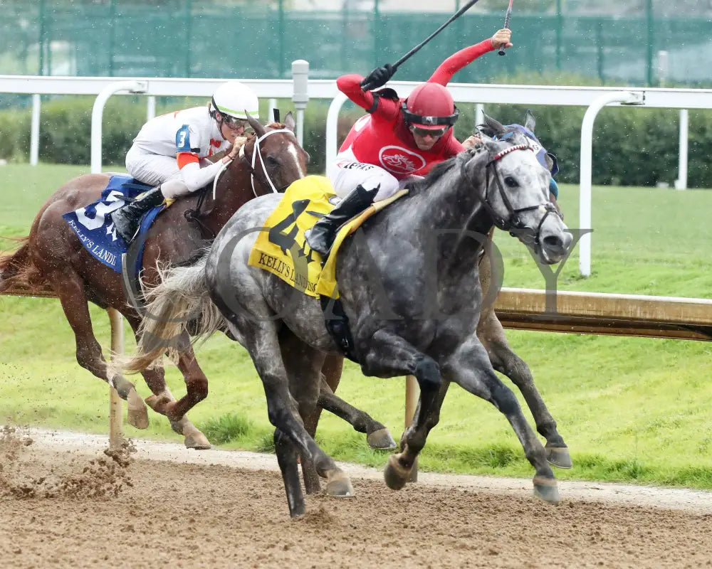 ROLL ON BIG JOE - 062825 - Race 09 - CD - Finish 03 Churchill Downs