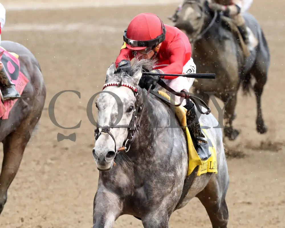 ROLL ON BIG JOE - 062825 - Race 09 - CD - Inside Finish 01 Churchill Downs