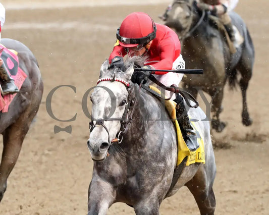 ROLL ON BIG JOE - 062825 - Race 09 - CD - Inside Finish 01 Churchill Downs