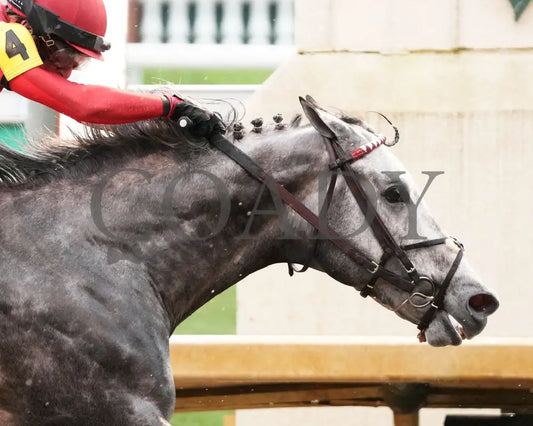 ROLL ON BIG JOE - 062825 - Race 09 - CD - Tight Finish 02 Churchill Downs