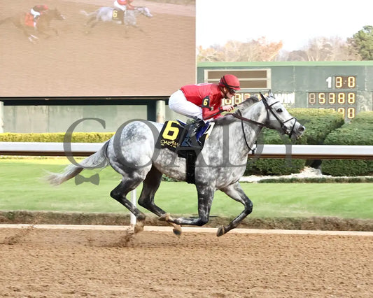 ROLL ON BIG JOE - Ring The Bell Stakes - 12-13-25 - R08 - OP - Finish 01 - Coady Media - Kurtis Coady Photography