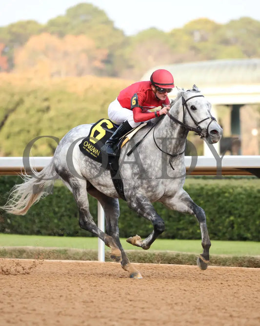 ROLL ON BIG JOE - Ring The Bell Stakes - 12-13-25 - R08 - OP - Finish 02 - Coady Media - Kurtis Coady Photography