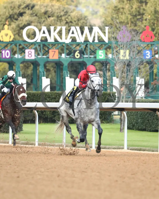 ROLL ON BIG JOE - Ring The Bell Stakes - 12-13-25 - R08 - OP - Finish 03 - Coady Media - Kurtis Coady Photography