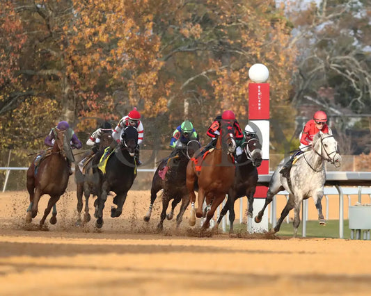 ROLL ON BIG JOE - Ring The Bell Stakes - 12-13-25 - R08 - OP - Turn 01 - Coady Media - Kurtis Coady Photography