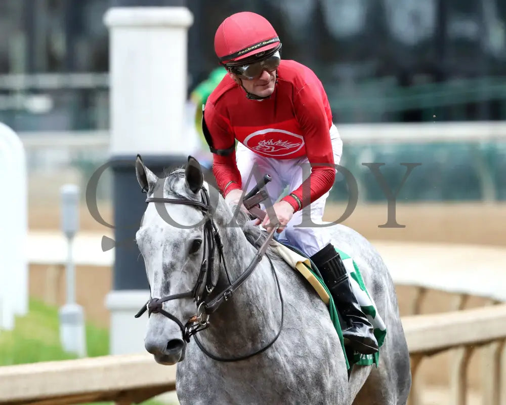 ROLL ON BIG JOE - The Bet on Sunshine - 11-01-25 - R07 - CD - Come Back 02 - Coady Media - Kurtis Coady Photography