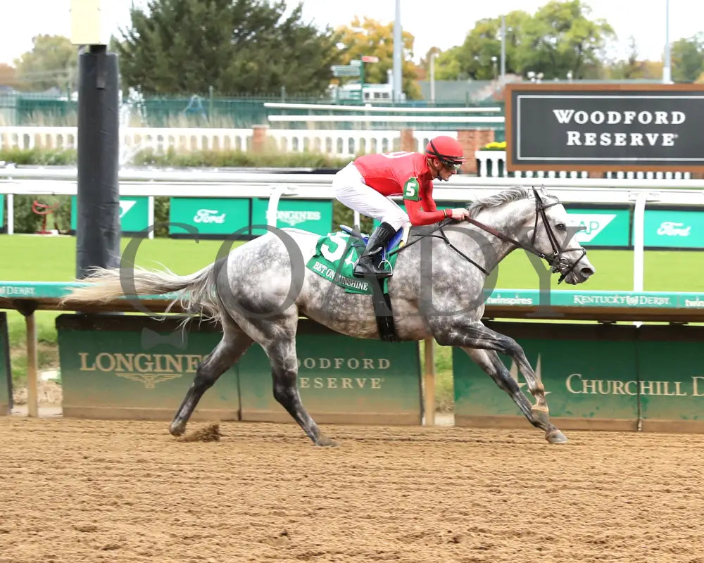 ROLL ON BIG JOE - The Bet on Sunshine - 11-01-25 - R07 - CD - Finish 01 - Coady Media - Kurtis Coady Photography