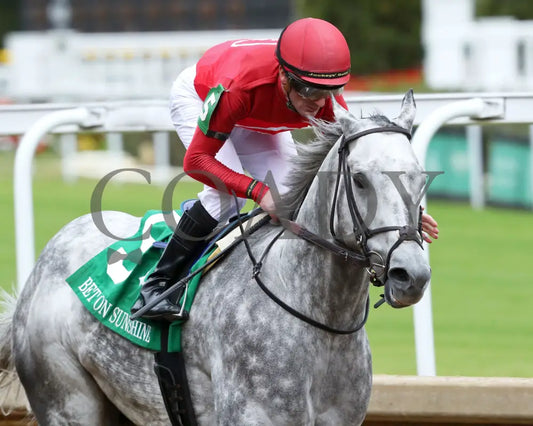 ROLL ON BIG JOE - The Bet on Sunshine - 11-01-25 - R07 - CD - Gallop Out 02 - Coady Media - Kurtis Coady Photography