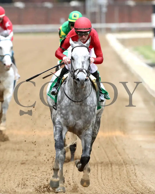 ROLL ON BIG JOE - The Bet on Sunshine - 11-01-25 - R07 - CD - Gallop Out 01 - Coady Media - Kurtis Coady Photography