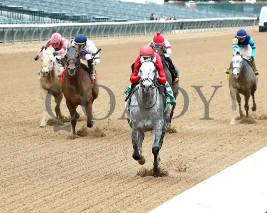 ROLL ON BIG JOE - The Bet on Sunshine - 11-01-25 - R07 - CD - Inside Finish 02 - Coady Media - Kurtis Coady Photography