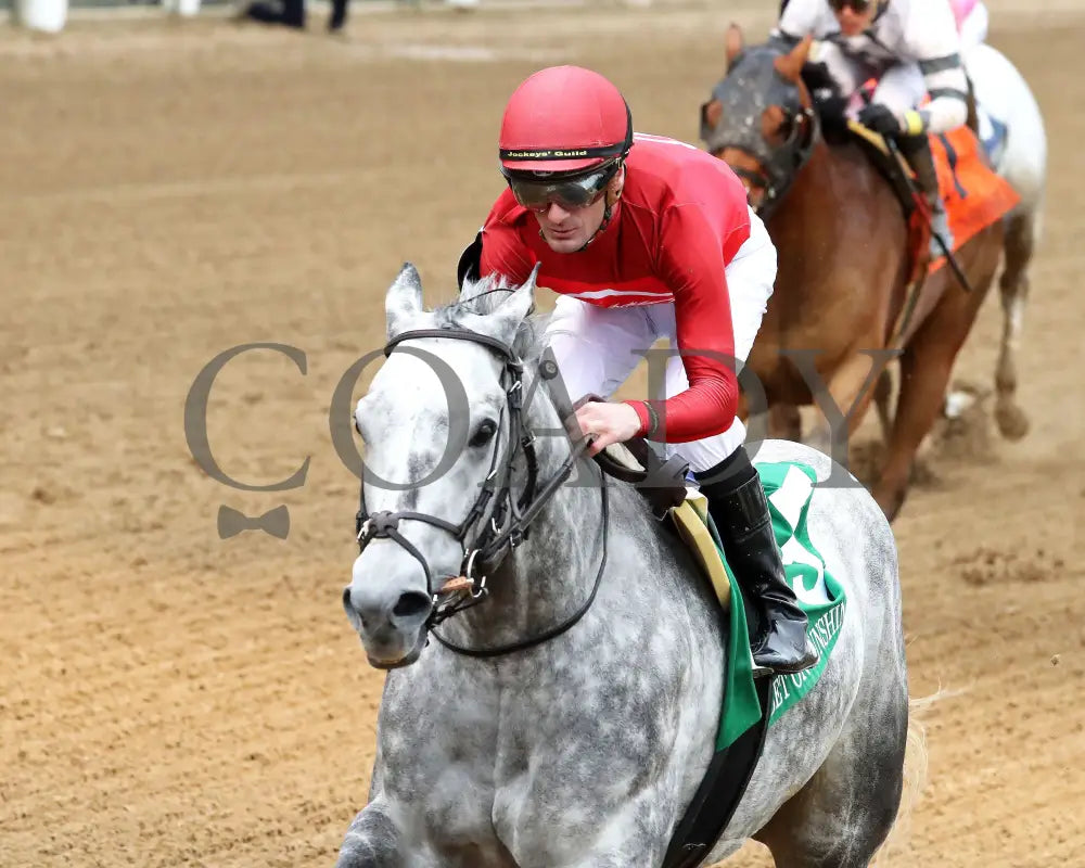 ROLL ON BIG JOE - The Bet on Sunshine - 11-01-25 - R07 - CD - Inside Finish 01 - Coady Media - Kurtis Coady Photography