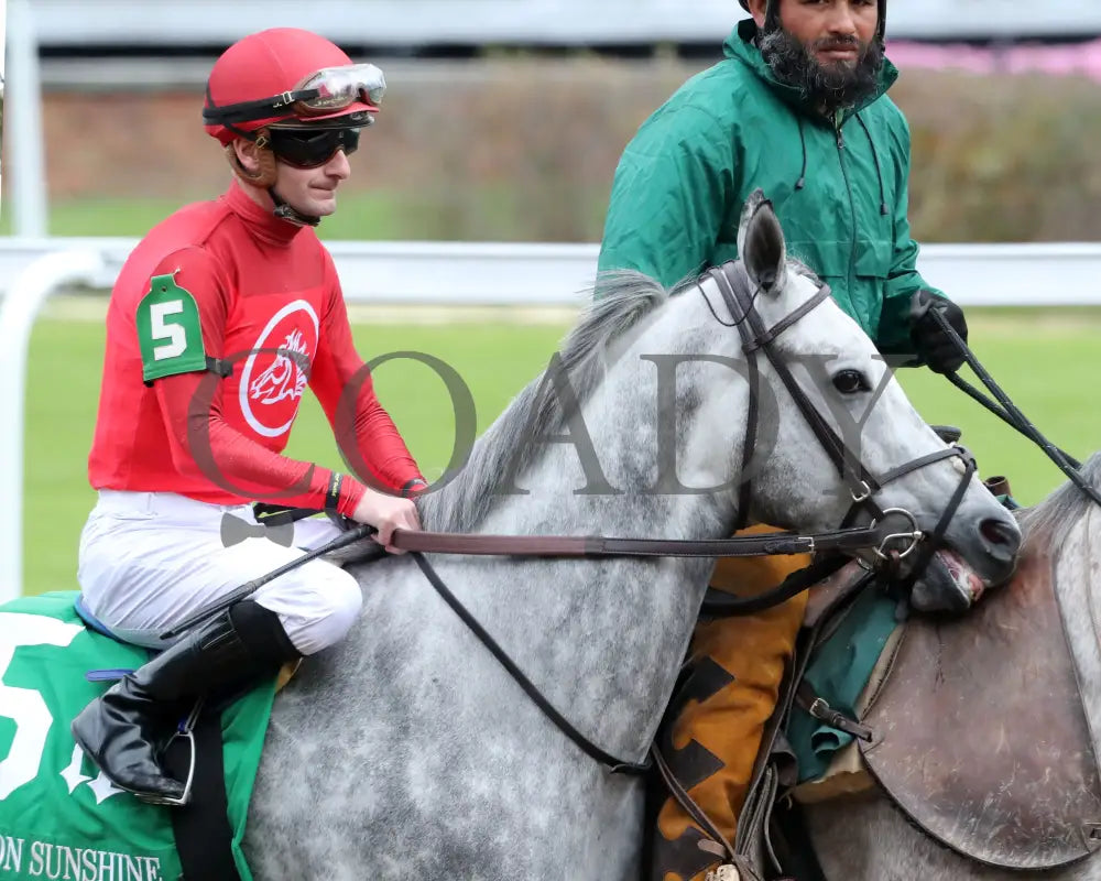 ROLL ON BIG JOE - The Bet on Sunshine - 11-01-25 - R07 - CD - Post Parade 01 - Coady Media - Kurtis Coady Photography