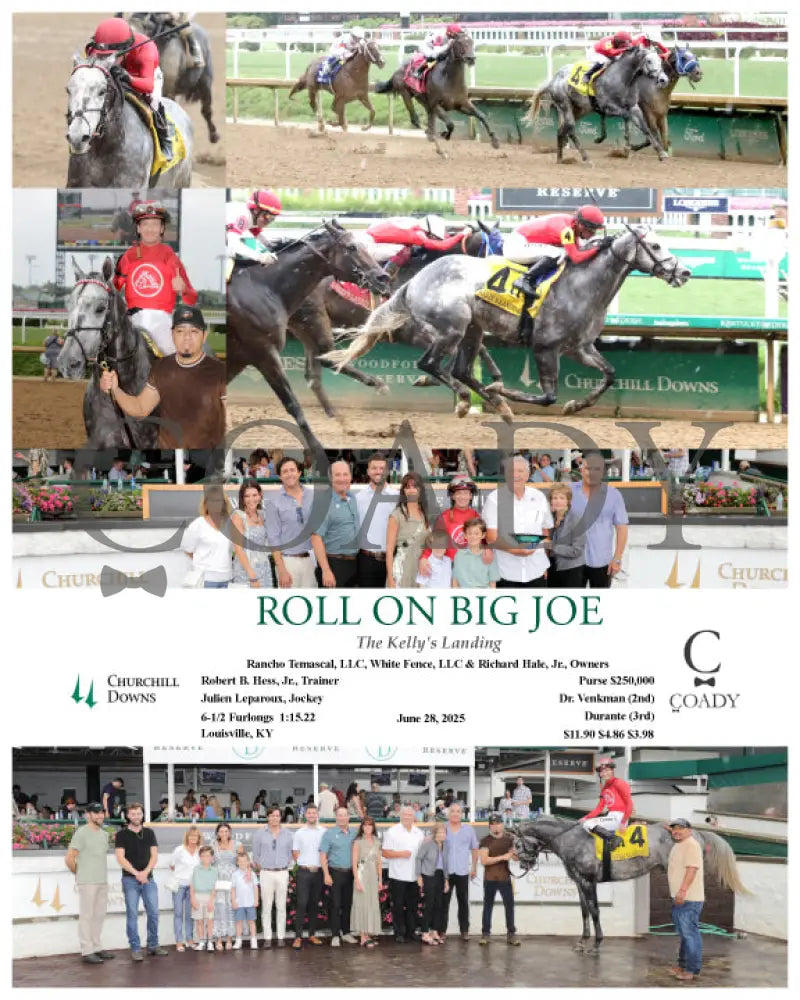 ROLL ON BIG JOE - The Kelly’s Landing - 06-28-25 - R09 - CD Churchill Downs