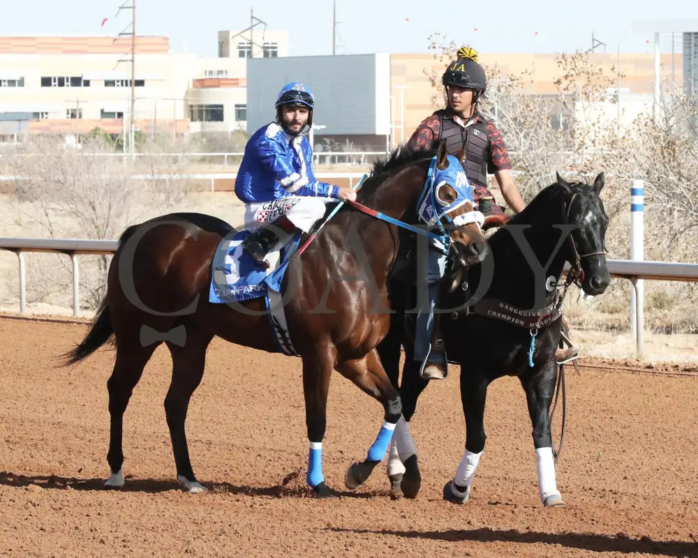 Rollin Candy Dynasty - Lovington Stakes 12-15-24 R06 Zia Park Post Parade