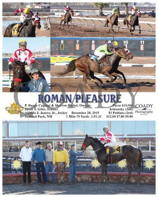 Roman Pleasure - 122815 Race 05 Sun Sunland Park