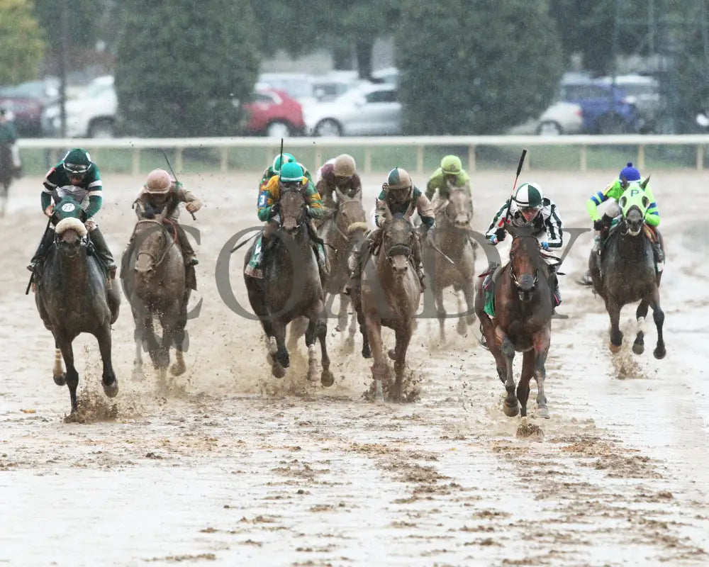 Romantic Vision - The Juddmonte Spinster Gr I 62Nd Running 10-08-17 R09 Kee Head On 1 Keeneland