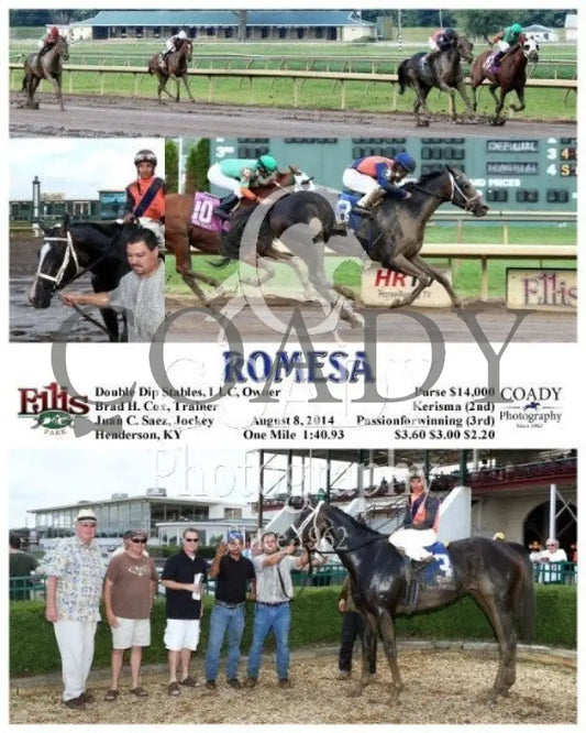 Romesa - 080814 Race 07 Elp Ellis Park