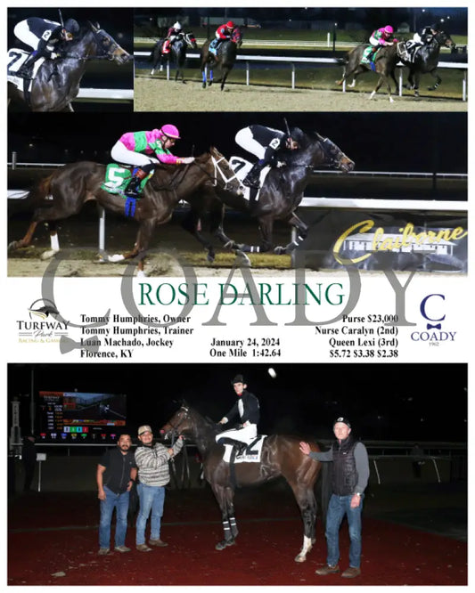 Rose Darling - 01-24-24 R01 Tp Turfway Park