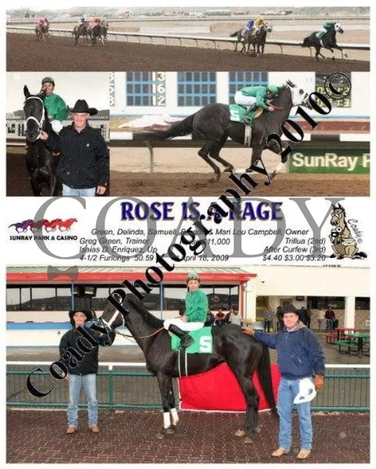 Rose Is A Rage - 4 17 2009 Sunray Park