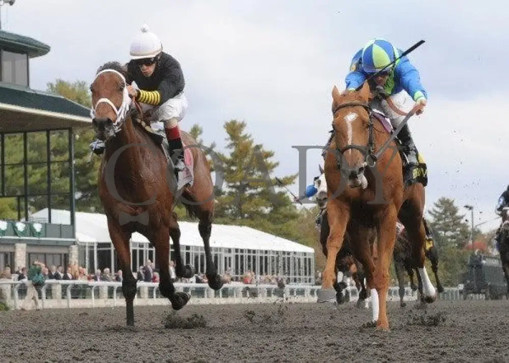 Rose Medallion - 3 101211 Race 09 Keeneland