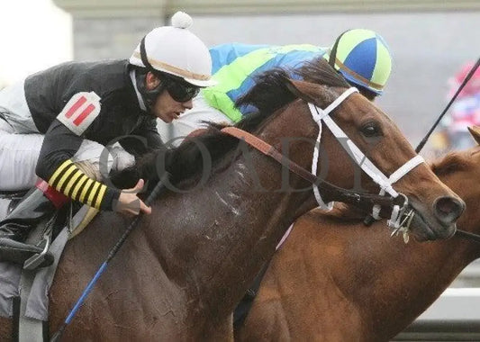 Rose Medallion - 4 101211 Race 09 Keeneland