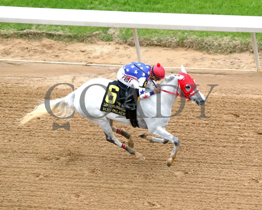 ROSE PALACE - The Lapatourel Overnight Stakes - 1st Running - 03-28-25 - R08 - OP - Aerial Finish 01 Oaklawn Park