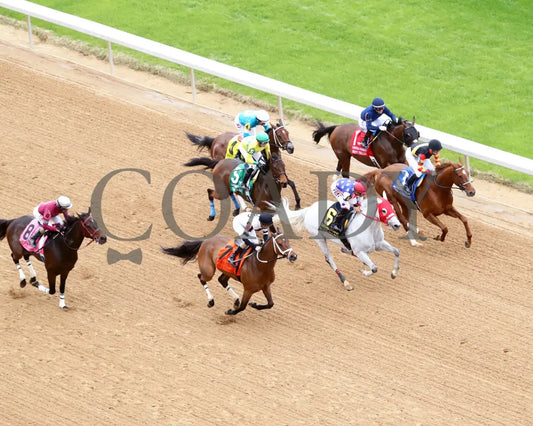 ROSE PALACE - The Lapatourel Overnight Stakes - 1st Running - 03-28-25 - R08 - OP - Aerial First Pass 01 Oaklawn Park