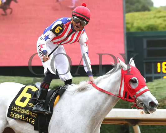 ROSE PALACE - The Lapatourel Overnight Stakes - 1st Running - 03-28-25 - R08 - OP - Celebration 01 Oaklawn Park