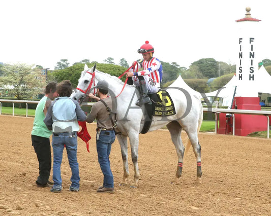 ROSE PALACE - The Lapatourel Overnight Stakes - 1st Running - 03-28-25 - R08 - OP - Come Back 01 Oaklawn Park