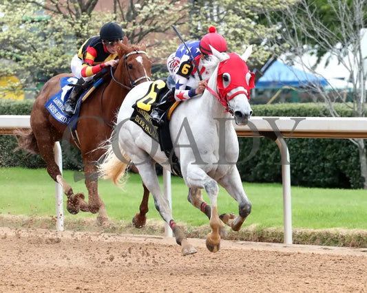ROSE PALACE - The Lapatourel Overnight Stakes - 1st Running - 03-28-25 - R08 - OP - Finish 02 Oaklawn Park