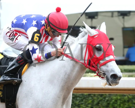 ROSE PALACE  - The Lapatourel Overnight Stakes - 1st Running - 03-28-25 - R08 - OP - Finish 03 - Coady Media - Kurtis Coady Photography
