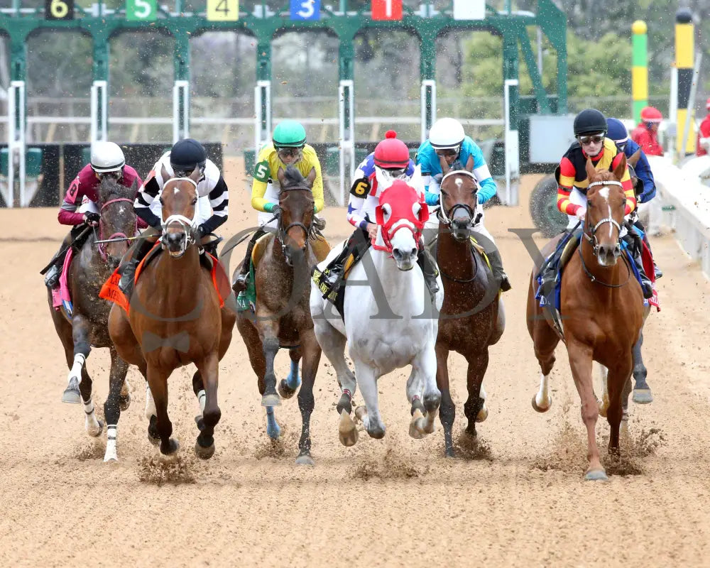 ROSE PALACE - The Lapatourel Overnight Stakes - 1st Running - 03-28-25 - R08 - OP - First Turn 01 Oaklawn Park