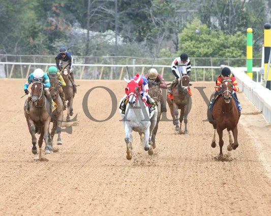 ROSE PALACE - The Lapatourel Overnight Stakes - 1st Running - 03-28-25 - R08 - OP - Head On 01 Oaklawn Park