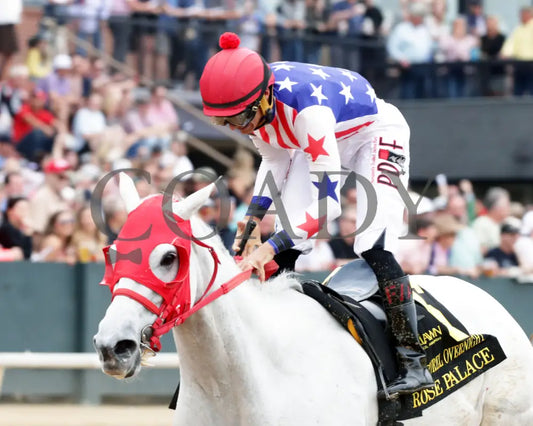 ROSE PALACE - The Lapatourel Overnight Stakes - 1st Running - 03-28-25 - R08 - OP - Inside Finish 02 Oaklawn Park