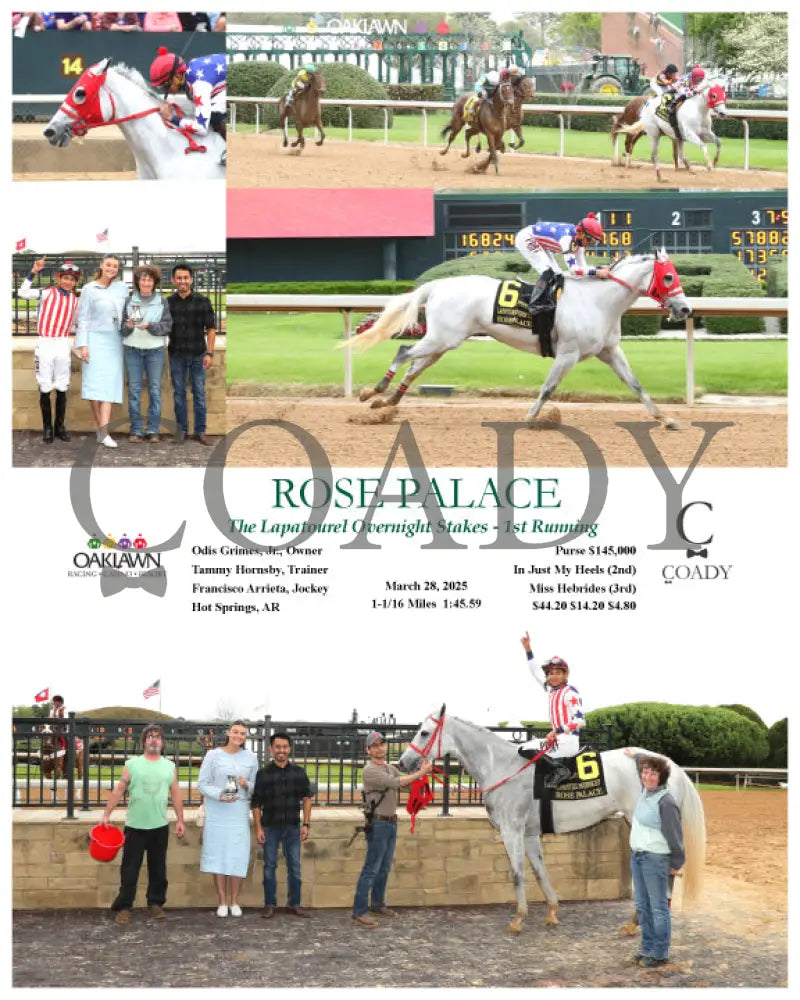 ROSE PALACE - The Lapatourel Overnight Stakes - 1st Running - 03-28-25 - R08 - OP Oaklawn Park